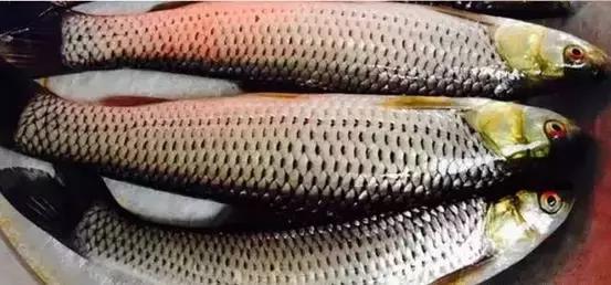 海南，梦想启航之地——自信铸就辉煌之旅