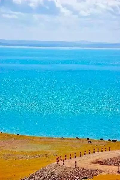 青海，地理、历史与文化的探索之旅